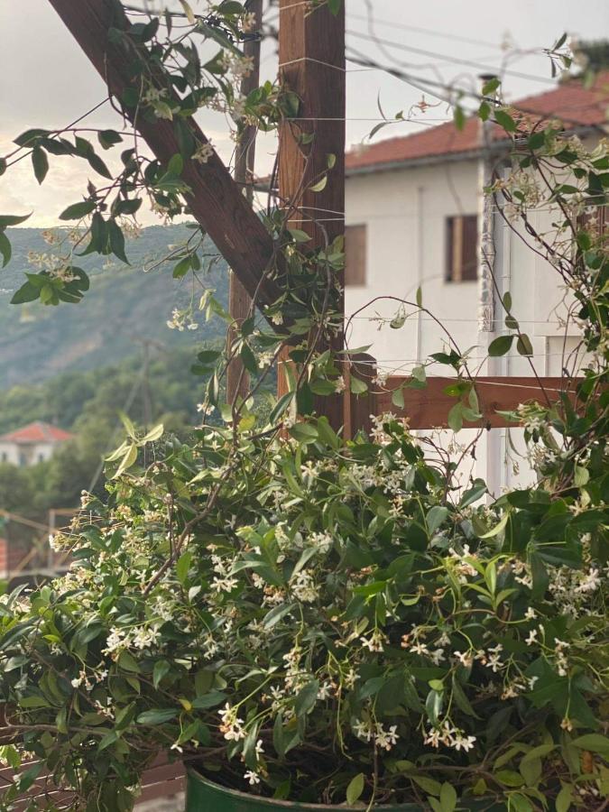 Karavos Hotel Portaria  Luaran gambar