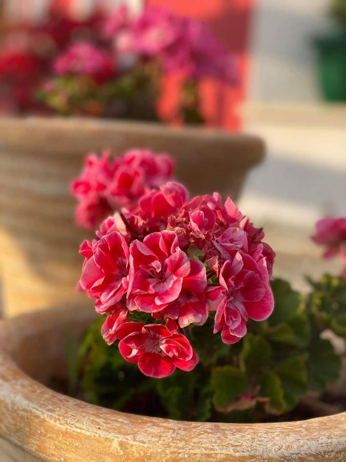 Karavos Hotel Portaria  Luaran gambar